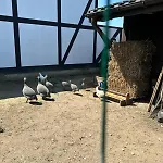 Feriehus Letniskowe Nad Morzem