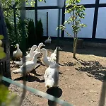 Letniskowe Nad Morzem Feriehus *