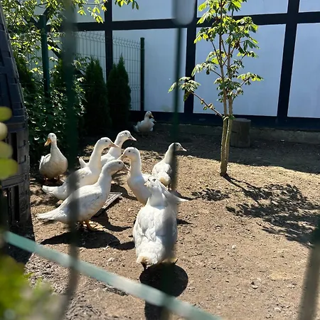 Feriehus Letniskowe Nad Morzem *