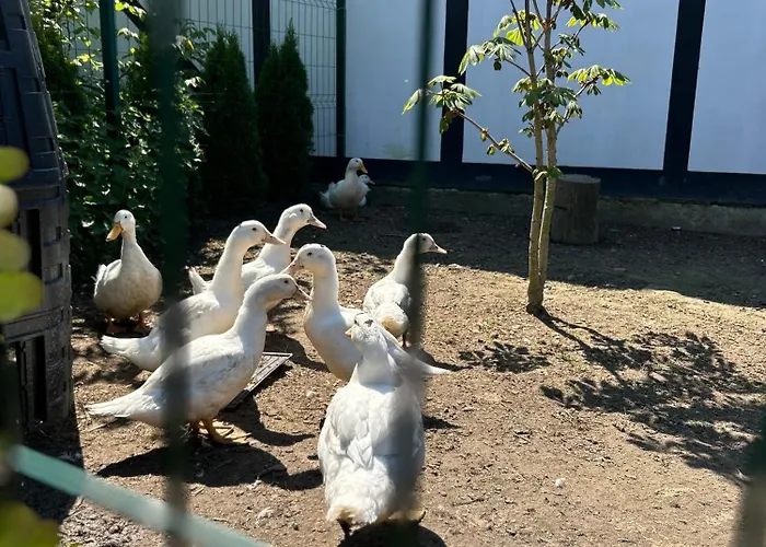 Дом отдыха Letniskowe Nad Morzem *